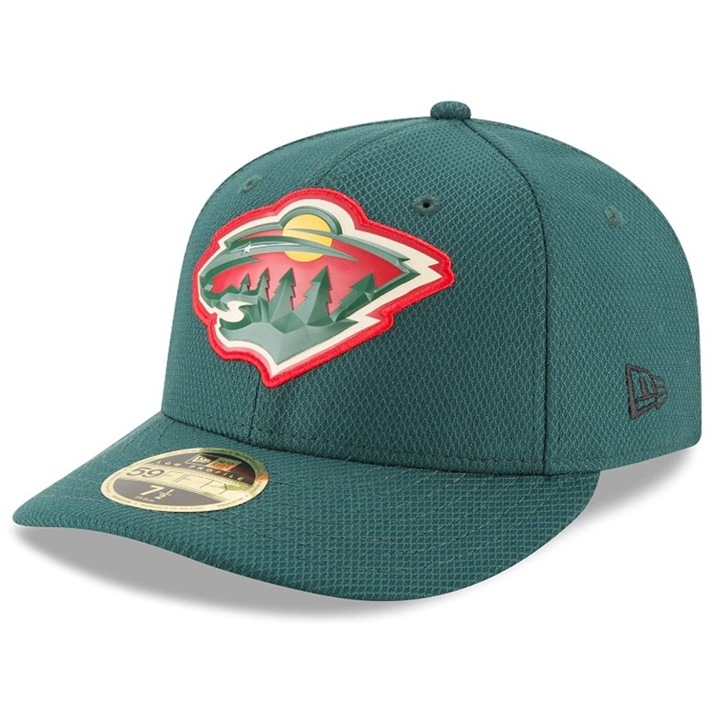 NWT New Era Low Profile Fitted Hat